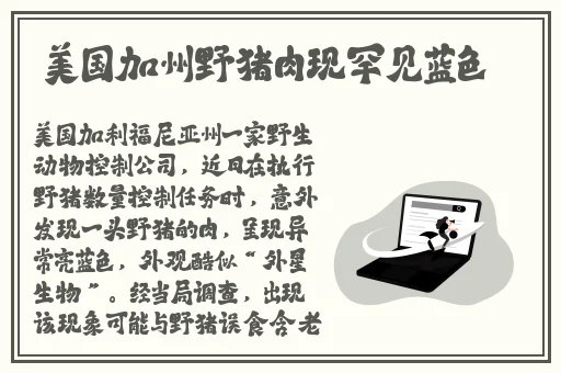 人人爽天天碰狠狠添天天躁夜夜狠